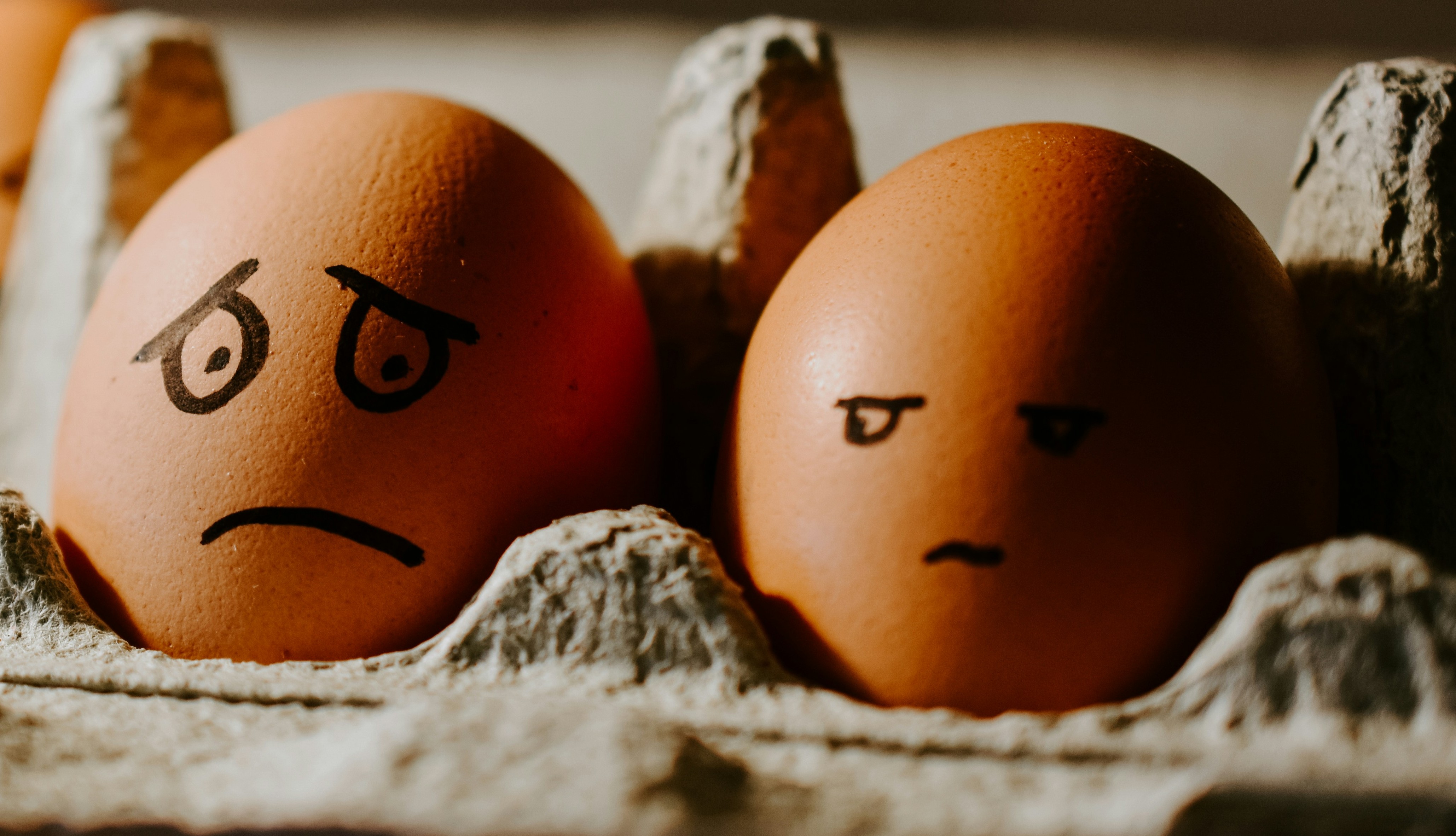 My Husband: The Literary Jedi