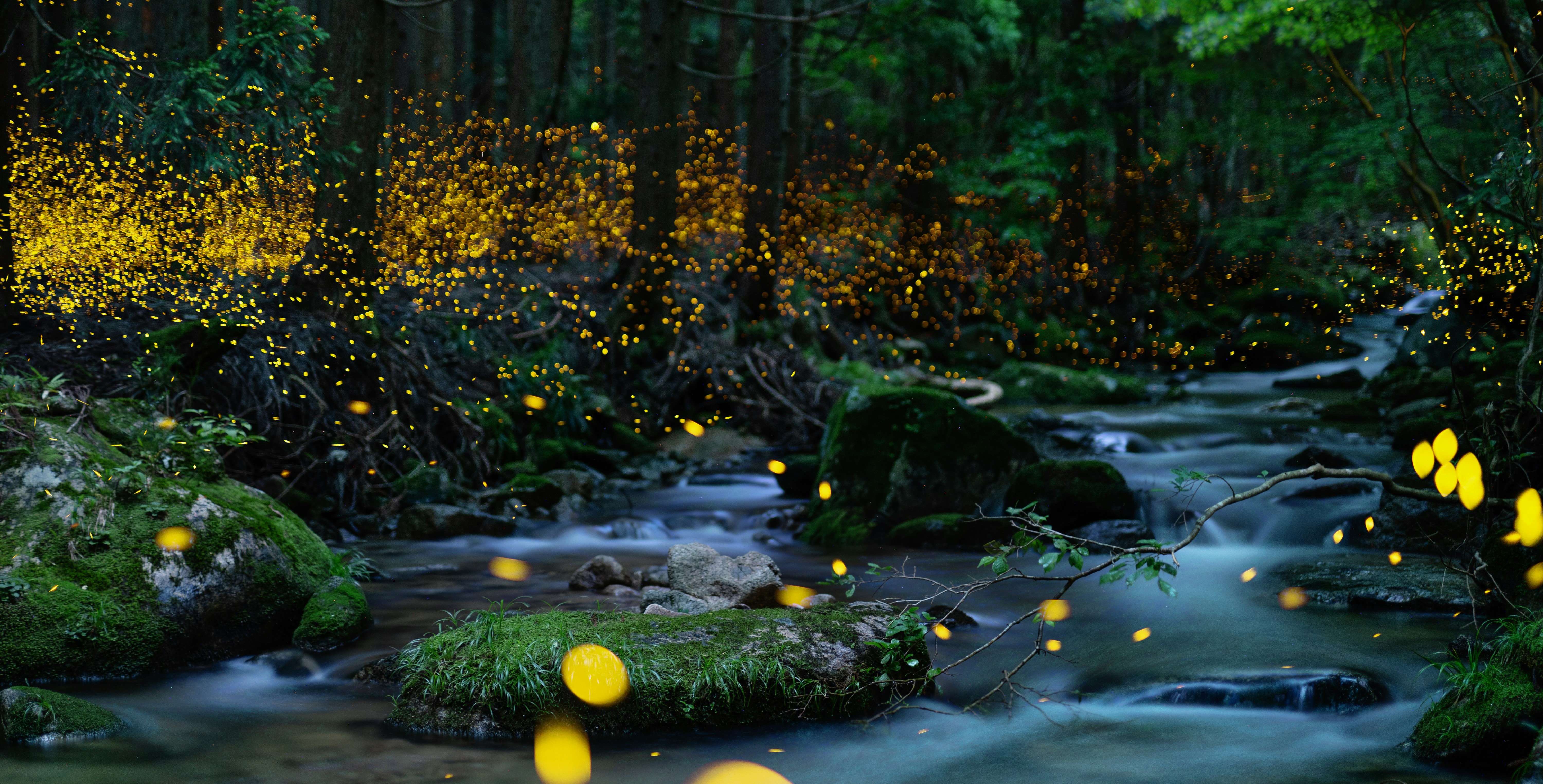 Once Upon a Retelling