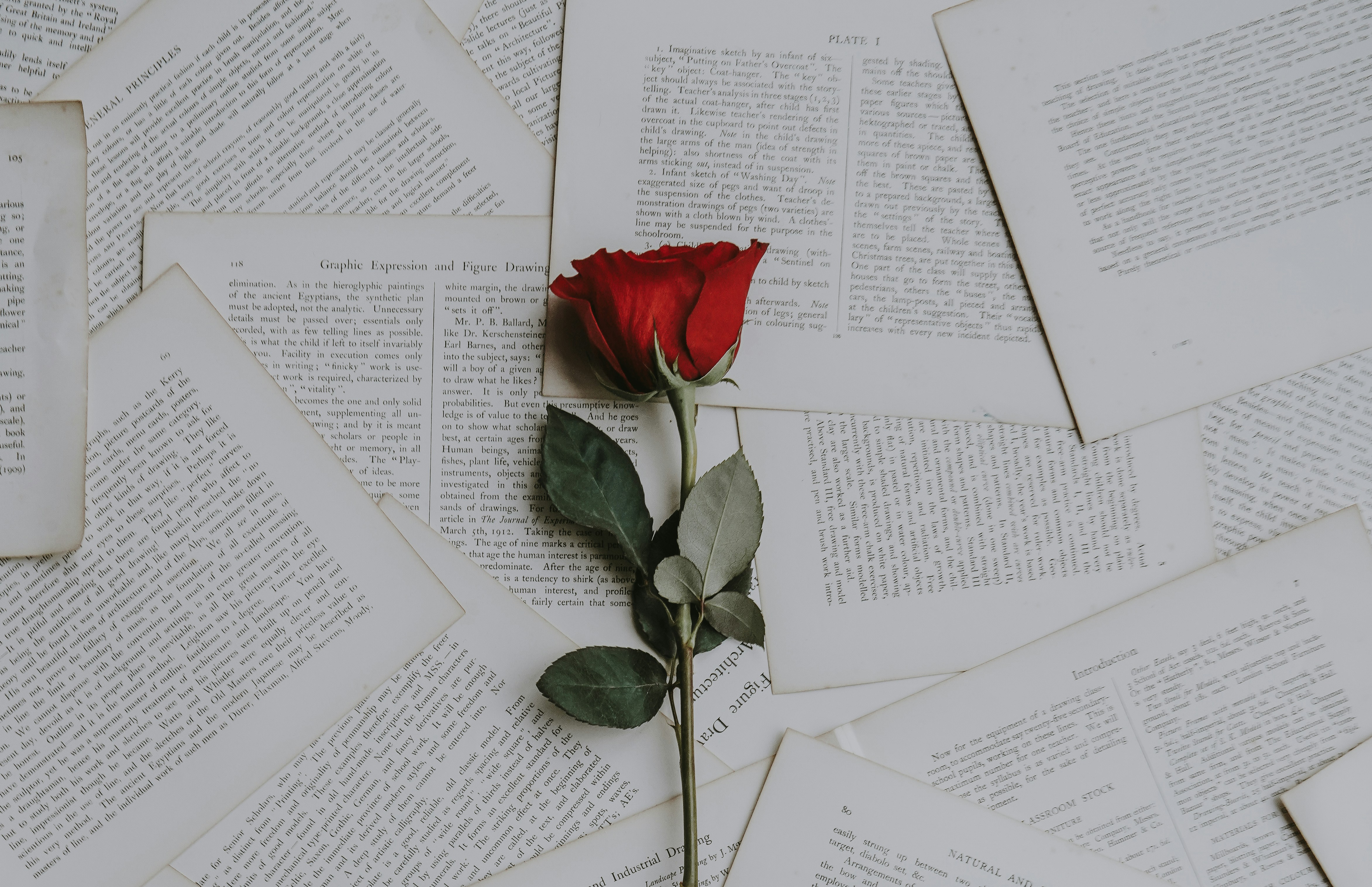 Tropes: Old Patterns, New Stories